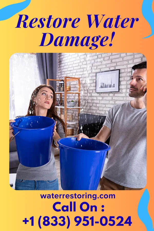water restoration Expert Storm Recovery & Associates Everton