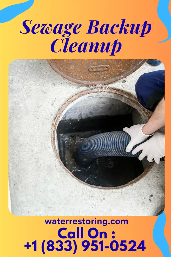 Sewage Backup Cleanup in Everton, MO